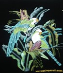 Pericos